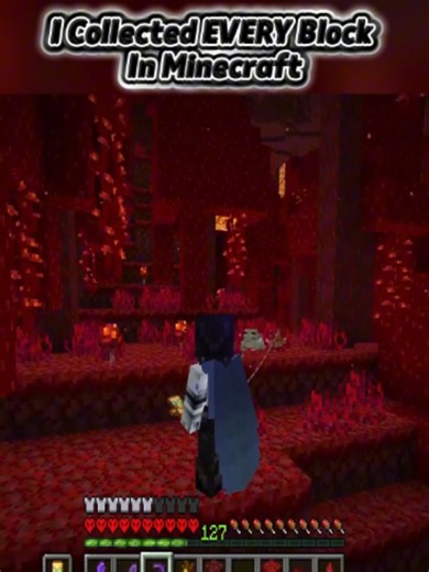 I Collected EVERY Block In Minecraft - Episode 3