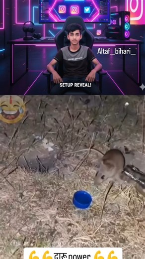 Altaf__bihari__ on Instagram: "10 ml Daru power 💪 The Honda Civic Type R is a highperformance variant of the Honda Civic known for its sporty characteristics and racing heritage Key features of recent models include 1. * Engine*: A turbocharged liter inlinefour engine typically producing around horsepower depending on the model year 2.* Transmission*: A speed manual transmission offering precise and engaging gear shifts 3.* Performance *: It boasts impressive acceleration and handling with a fo