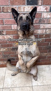 121K views · 5.4K reactions | We're adopting Turko! After many...