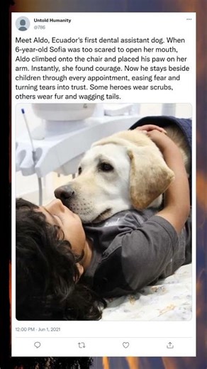 Meet Aldo, Ecuador's first dental assistant dog