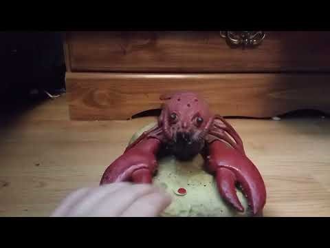 Singing Fish Collection (January 2025)