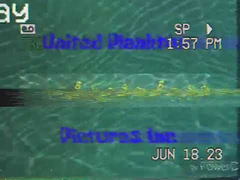 SpongeBob End Credits/United plankton Pictures, Inc./Nickelodeon￼￼