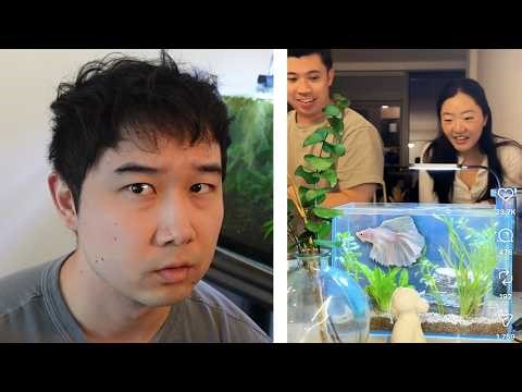 they got bullied for doing this | Fish Tank Review 358