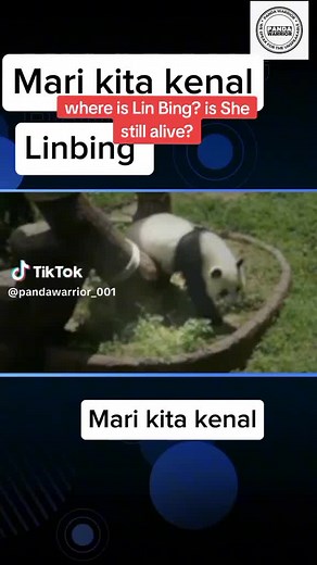 林冰的现状与回忆