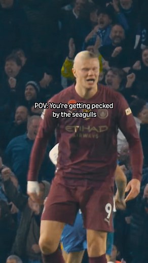 Those pesky seagulls: Man City vs Brighton seagull incident