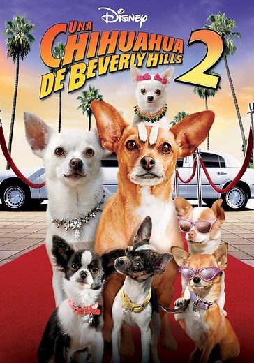 Un chihuahua en Beverly Hills 2 - película: Ver online