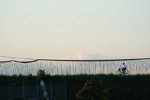 SIGMA Contemporary 100-400mm F5-6.3 DG DN OS X-Mount | KASYAPA | フォトプレビュー