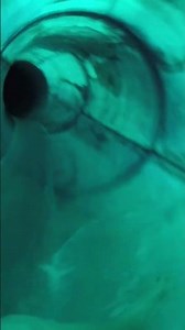 POV Water Slide At Splash Lagoon #waterslide #waterslides #waterpark #pov