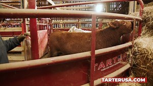 Did you recently purchase a Tarter Sweep System? Don't forget to take a look at our line of accessories! | Tarter