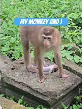 How can she handle this