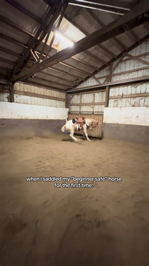 he’s not beginner safe guys #fyp #horsefail #bronc | horses