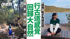 新手行山心得｜烏蛟騰行石砌古道來回三椏村　集溪澗竹林海岸靚景