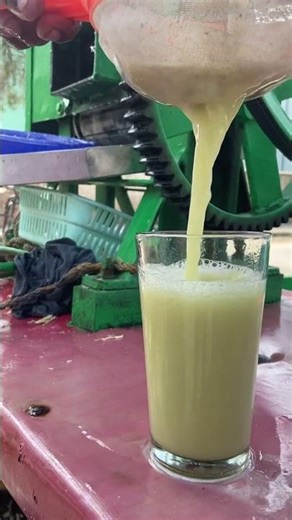 top 10 amazing facts about food 🥝 🍌 #facts #food #shortsfeed #helthbenefits