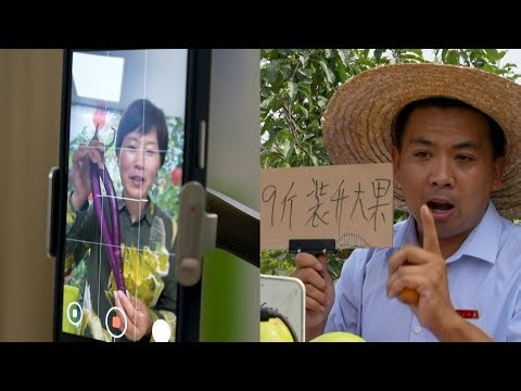China's 'new farmers' learn to livestream in rural revitalisation | AFP