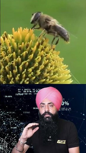 The Code of Life: Unlocking the Secrets of Human DNA #HumanDNA #Genetics #DNA #Genome #facts