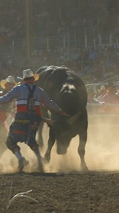 48K views · 2.5K reactions | POV: You're watching Cody Webster's debut in Pendleton with the one and only Rocker Steiner! We think the bull at the end of the video loved Rockers red shirt  | Pendleton Round-Up | Facebook