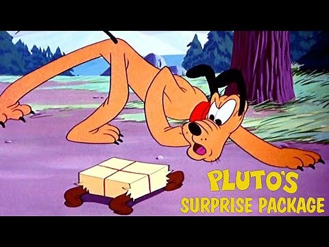 Pluto's Surprise Package 1949 Disney Cartoon Short Film | Review