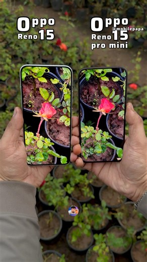Oppo Reno 15 Vs Oppo Reno 15 Pro Mini Comparison #mobilepapa #shorts