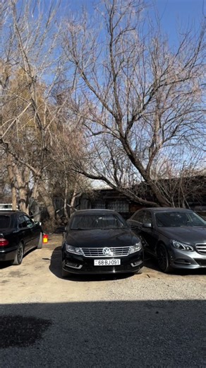 Tony Montana's Iconic Cars: Passat CC and Mercedes