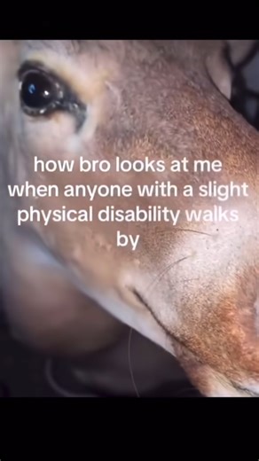 ReelsForUrBro on Instagram: "Did you know that the word “bro” has evolved into an entire language on the internet? What started as a simple way to refer to your friends has turned into one of the most viral terms ever. From “bro thinks he’s in a movie” to “bro is HIM,” Instagram and TikTok have taken “bro” to legendary status. Back in the day, “bro” was just short for “brother.” But now? It’s a whole vibe. Whether you’re that one friend taking things too seriously, within something way too impre