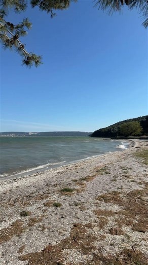 Ta vie elle est comment ?