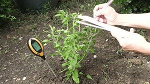 Soil pH Meter for Measure soil acidity. Farmer man the soil for planting checklist take note writing notebook garden background.