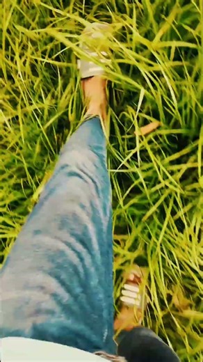 #🙂‍↕️🔪💥