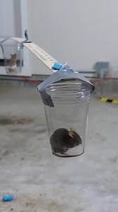 Giant magnet can move a mouse 🐁 | The Action Lab