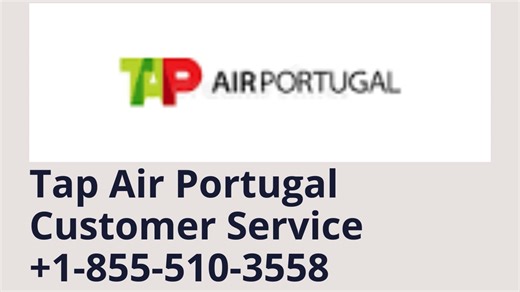 A Ultimate Guide to Official {tap air Portugal ™} Customer Service®: Summary of Phone, Chat, and Mail