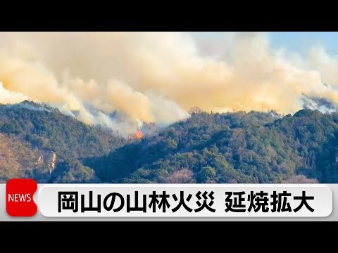 岡山山林火災 延焼拡大 鎮火の見通し立たず