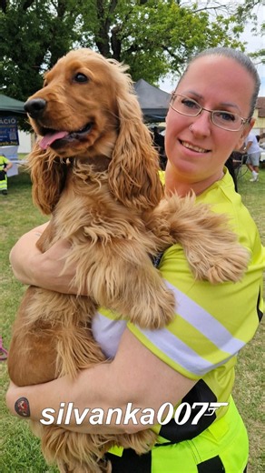 ♥️ MÁLNA ♥️ COCKER SPANIEL THERAPY DOG #dog #lovedogs #cockerspaniel #therapy #dogtraining #dogtok
