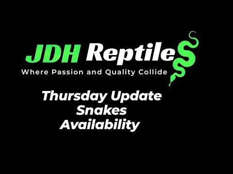 Thursday Update - See some animals and availability. 