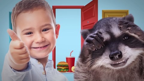 How a raccoon’s unexplained talent gives it total control in the dark