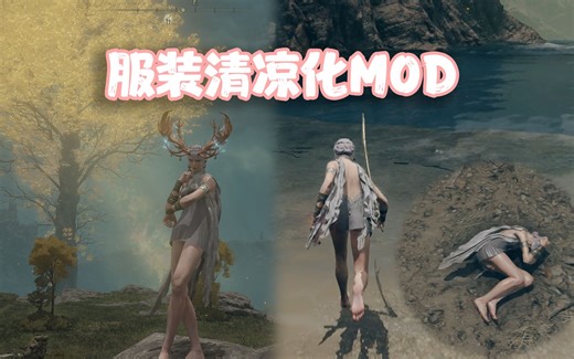《艾尔登法环》服装清凉化MOD 一键删布料