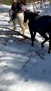 Baby 101….ranch pony in the making… ❤️ | Cowgirl Up Ranch NY | Facebook