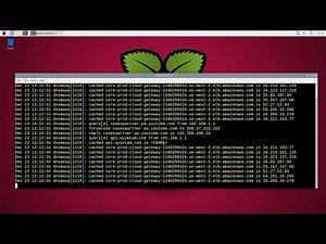 Monitor Pi-Hole DNS Server Log In Real-Time