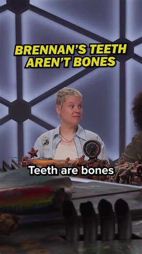 Are Teeth Considered Bones? A Deep Dive