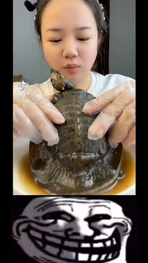 Explorando la tristeza con humor: el trollface y la tortuga