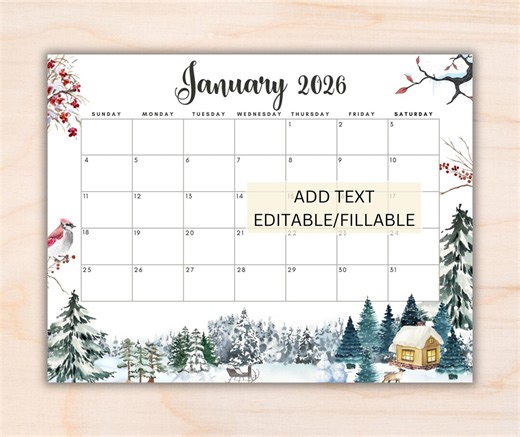 EDITABLE January 2026 Calendar, Printable Fillable Monthly Planner January Calendar Editable Monthly Schedule Printable Calendar School - Etsy