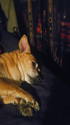 Blue River (@blueriver1976)’s videos with original sound - Papa’s Lullabies