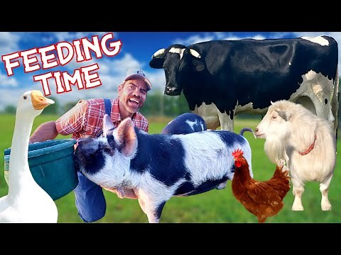 Feeding The Farm Animals with You! (Educational Farm Video For Kids)