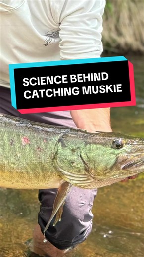 The Science Behind Catching Muskies: What 10,000 Casts Means