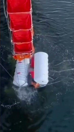 Evacuation Dual Chute on a Royal Caribbean cruise ship