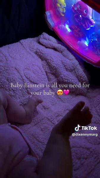 Baby Einstein: Essential Products for New Moms