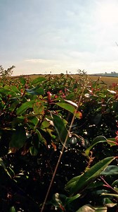 1.3K views | Longer days, blooming flowers, and that fresh sea breeze—spring at The Park is just around the corner! Start planning your next coastal escape.  | The Park, Cornwall | Facebook