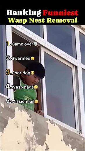 Ranking funniest wasp nest moments 😭😭