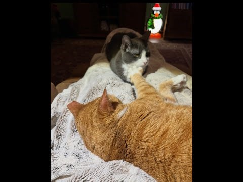 Episode 3053 CWSA 12/25/25