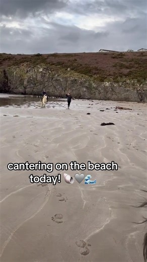 Cantering on the Beach for Confidence Building