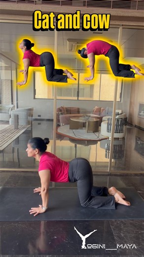 Transform Your Flexibility ✅5 Must-Try Yoga Poses✨🧘‍♀️#shorts#yoga#viral #ytshorts#backpain#yt