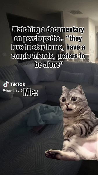 Relatable Funny Memes to Brighten Your Day